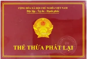 Giới thiệu về TPL Đinh Gia Cảnh